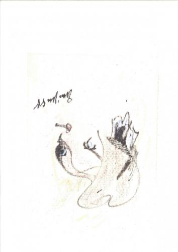20160414084238042 0001