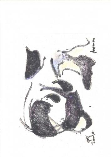 20160418114820228 0001